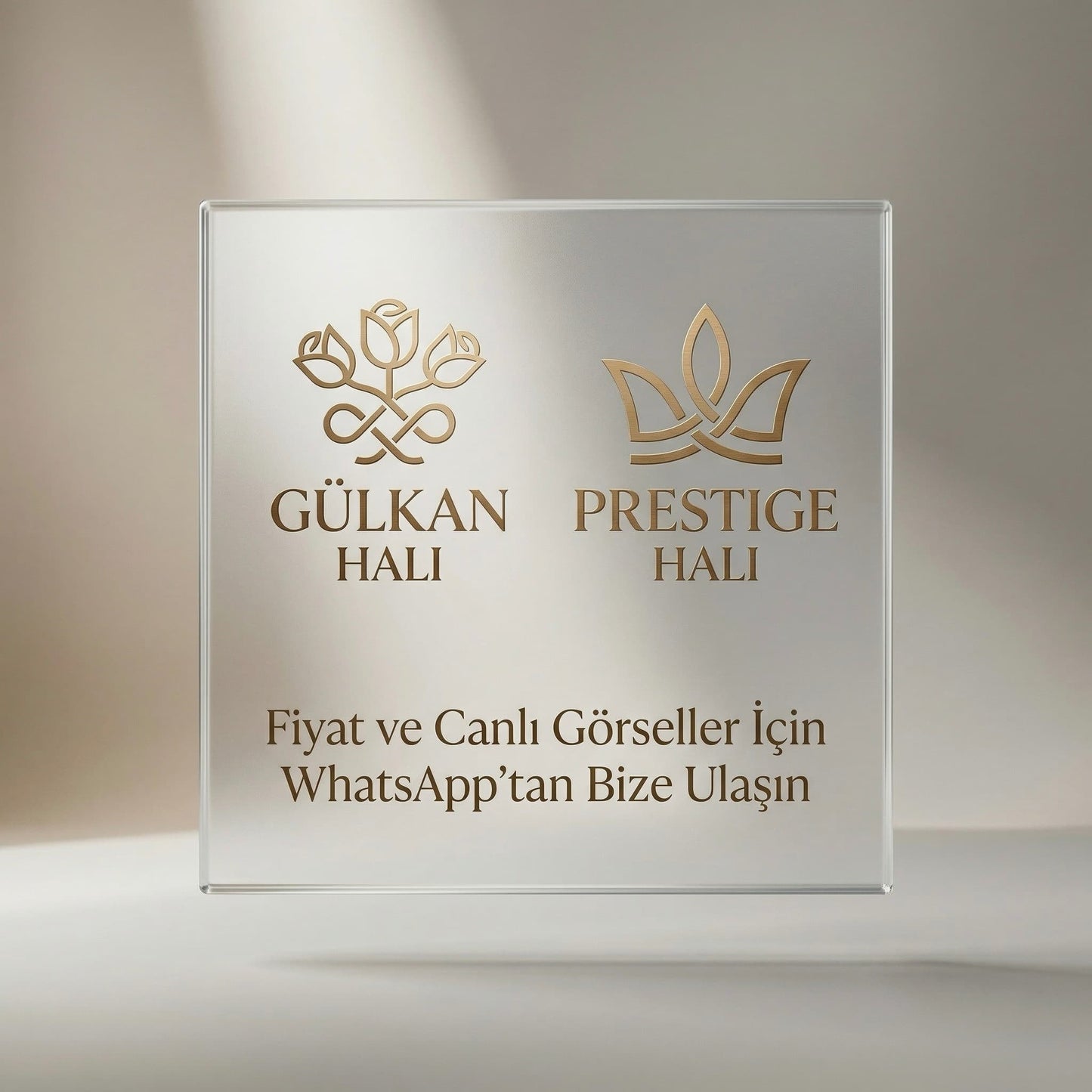 Prestij Halı MT1001 MOTTO